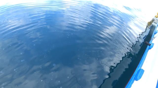 Ловля камбалы. Уссурийский залив. Дальний восток
