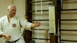 Традиционный удар Шотокан карате гьяку цуки