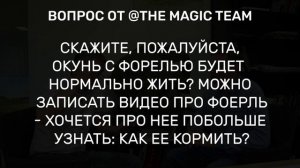 Разговор  с ихтиологом. Рассказываем про веслонолса,  про разведение форели. И немного об окуне
