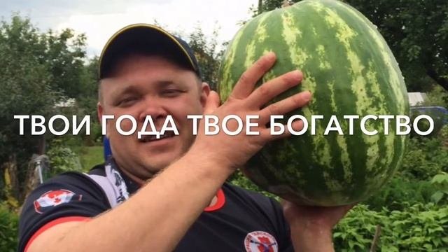 Князев Дмитрий Игоревич