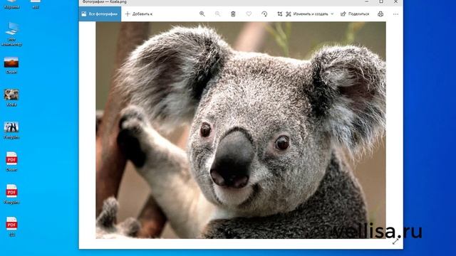 Как конвертировать PNG в PDF смотреть онлайн