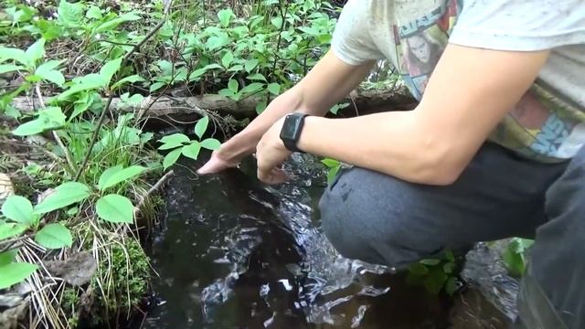 ЭТО ЗМЕЯ ИЛИ УЖ?! смотреть онлайн