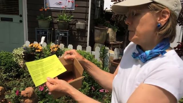 Bees in your garden leaf cutters 2015 смотреть онлайн