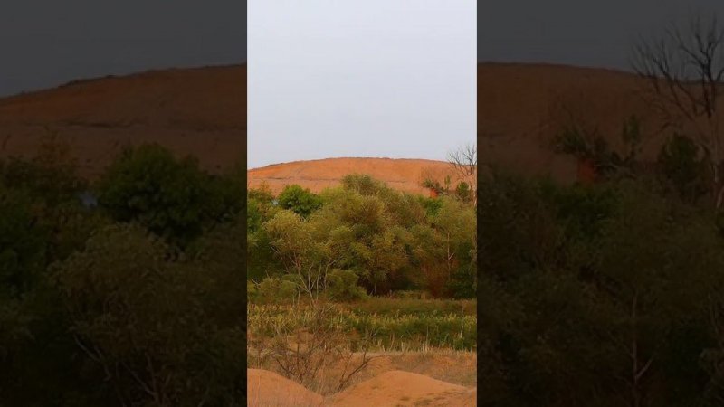 ОСЫПНОЙ БУГОР.Астраханская степь