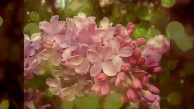 Фристайл С Днём Рождения мама смотреть онлайн