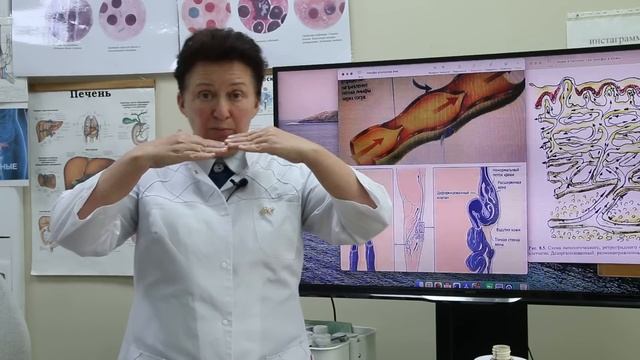Как омолодить кожу лица. [Шишова О.И.]