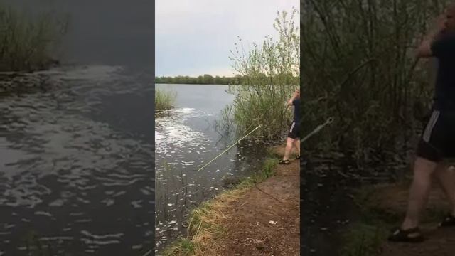 Заброс кастинговой сети смотреть онлайн