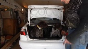 куда уходит тосол DAEWOO LANOS 1.5