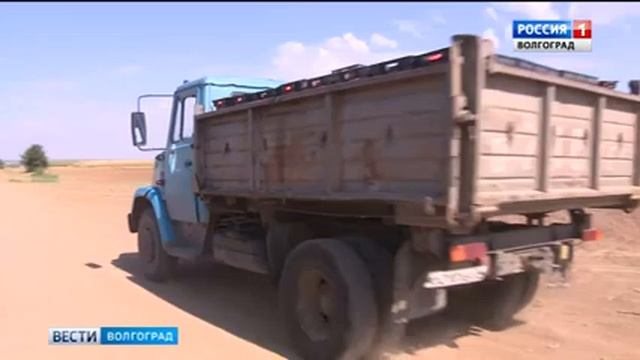 Волгоградским томатам намерены вернуть былую славу смотреть онлайн