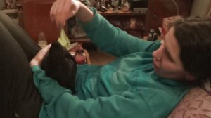 морская свинка Блэкки башенка ноя2021