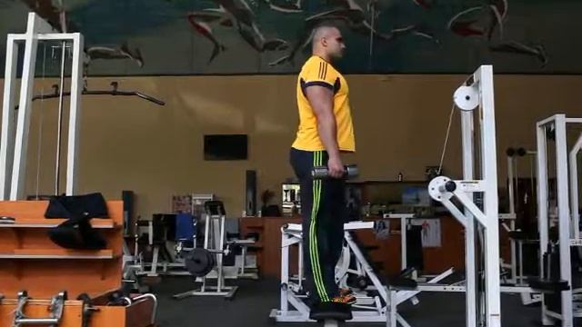 Зашагивания на лавку с гантелями смотреть онлайн