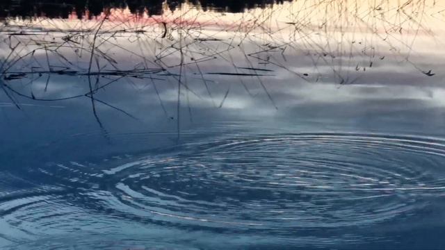 Смоленское Поозерье. Три дня на озере Сапшо смотреть онлайн