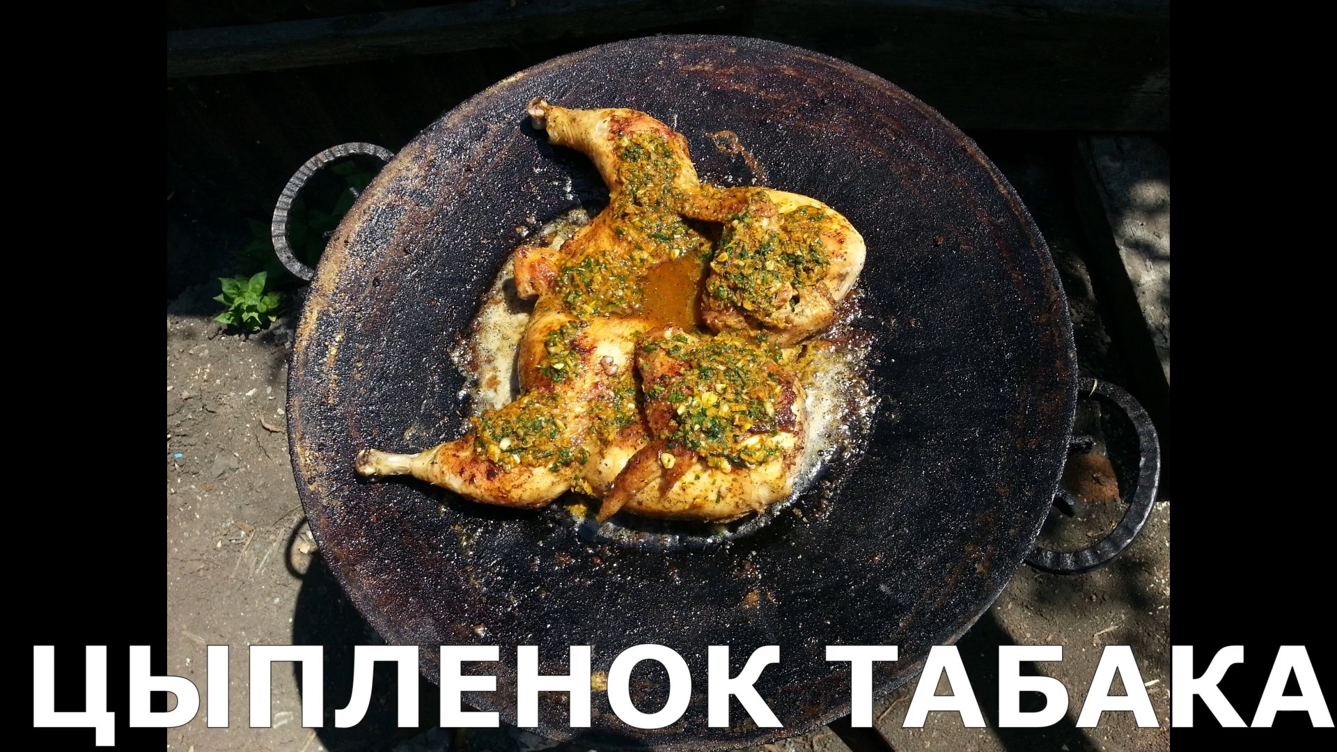 Цыпленок табака на садже