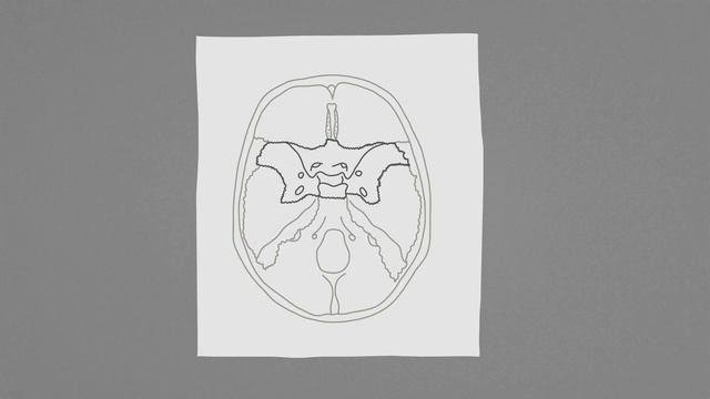 Тройничный нерв. Часть 1 - глазничный нерв. смотреть онлайн