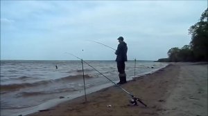 Рыбалка на сома на Сурском вдхр-Ловля сома в мае- Сом на спиннинг ночью