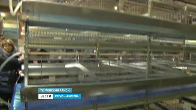 В Тюменской области развивается сельскохозяйственный "франчайзинг" смотреть онлайн