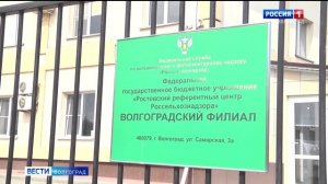 Зерносклады Волгоградской области обследуют на наличие капрового жука.mp4