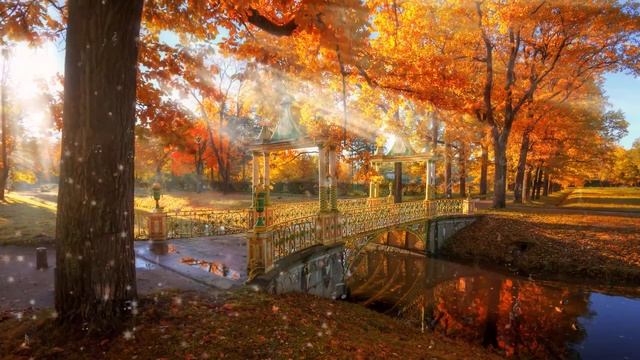 Видео осеннего настроения под прекрасную музыку Фредерика Шопена - Осень #Компот смотреть онлайн