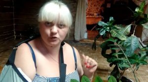 Как защитить комнатные растения, цветы от кошки.