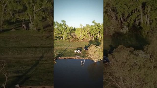 Окрестности Затона на реке Обь. смотреть онлайн