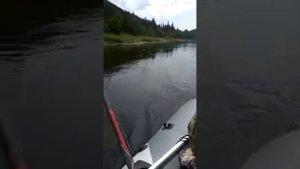 Ловля хариуса на дорожку с лодки