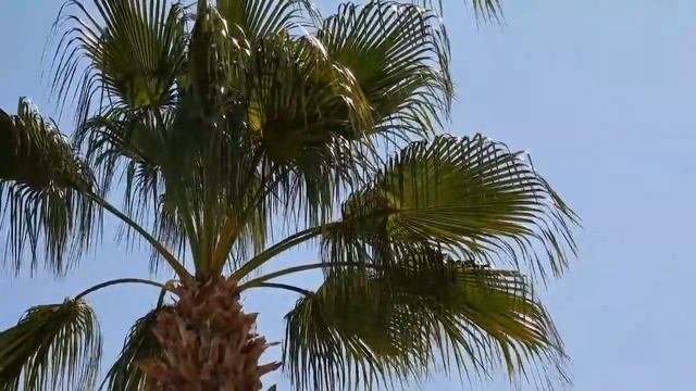 Положите это под подушку на одну ночь, результат удивит