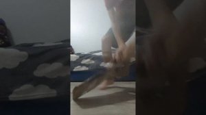 сделал Индо Скут # Стеша и лука