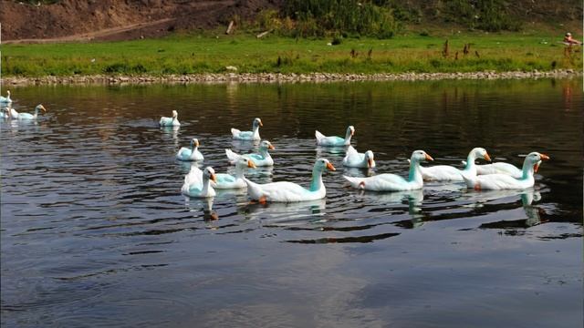 Сплав по реке Юрюзань с турфирмой Зенит-Тур