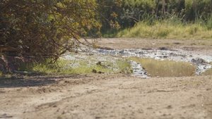 2023 Suzuki V-STROM 800DE - Off-road Driving