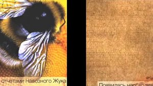 Басня про муравья