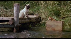 The Adventures of Milo and Otis (1986) Trailer