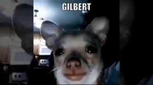 gilbert