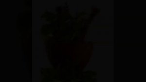 Лечение простатита в домашних условиях