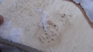 Бензопила СОЮЗ отзыв настройка карбюратора бензопилы инструкция ВАЛКА ДЕРЕВА Распилов обрезка сучье