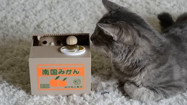 Интерактивная копилка Кот-Воришка смотреть онлайн