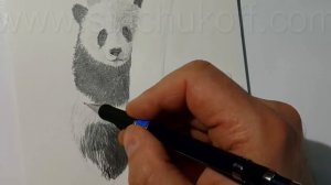 Как нарисовать ПАНДУ КАРАНДАШОМ! Учимся рисовать ПАНДУ Простым Карандашом! Как Научиться РИСОВАТЬ