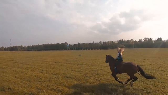 КОННАЯ ПРОГУЛКА в поля / ГАЛОП от первого лица