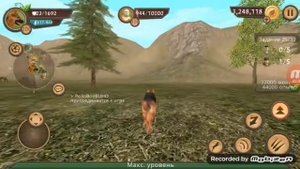 Побеждаем Охотничьего босса в дог сим(Dog Sim) с розовым вином)