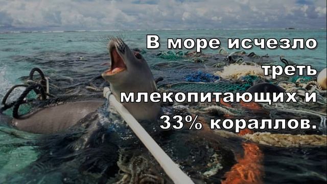 Международный День Земли: Удивительные Факты о нашей Планете