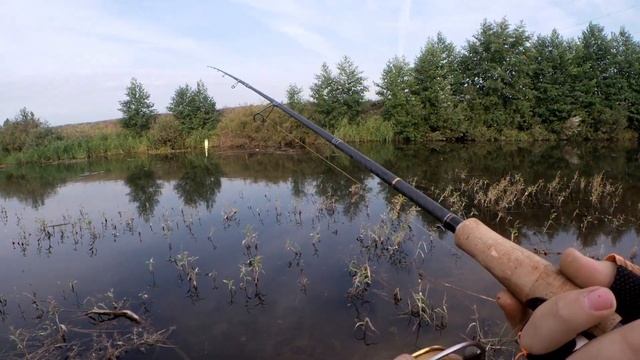 Рыбалка на Малой Реке. Щука на Поппер. С ЭТИМ ПОППЕРОМ ВСЕГДА С РЫБОЙ! смотреть онлайн