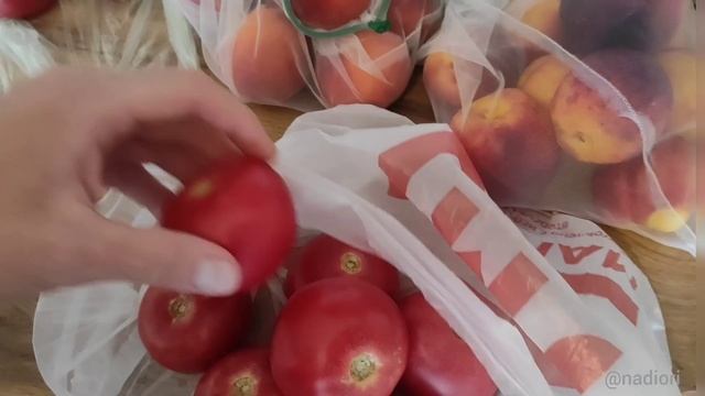 Сочи Адлер  что нужно знать туристам