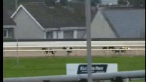 IGB - The Welcome To Waterford Greyhound Stadium  01/06/2019 Race 1 - Waterford