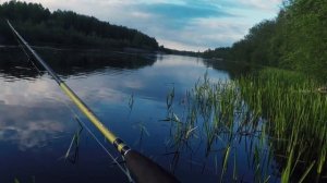 Ловля щуки на спинниг. Ленинградская область.