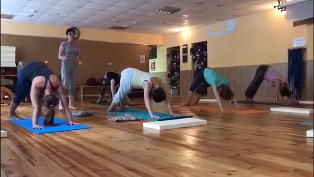 Специализированные классы йоги для беременных с Юлией Эльберт