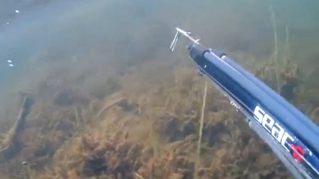 попал смотреть онлайн