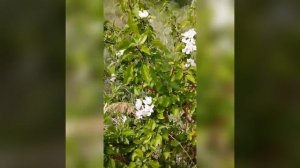 Озеро Кайнар или от чего нас спасли 15 человек. 2023 год