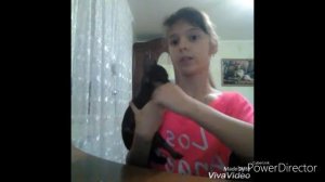Русский той терьер ///// ПЛЮСЫ И МИНУСЫ !