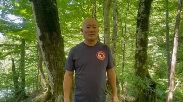 Очищение "мутной Ци" 5 Стихий. | Академия Киайдо | Гранд Мастер Сонг Парк смотреть онлайн