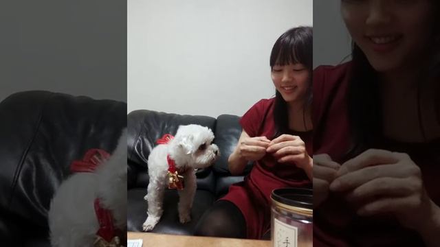 紅豆小王子 - 不會套圈圈 但我會放頭
