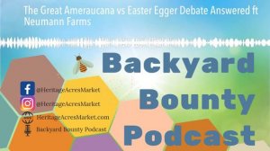 The Great Ameraucana vs Easter Egger Debate ft Neumann Farms (Backyard Bounty Podcast EP 23)